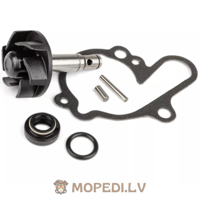 Water Pump Repair Kit Minarelli AM6