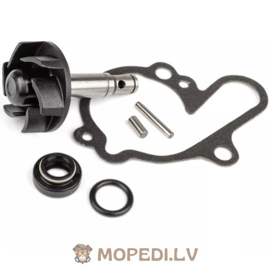 Water Pump Repair Kit Minarelli AM6