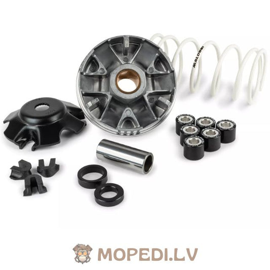 Malossi Multivar variator 2000 Piaggio AC / LC